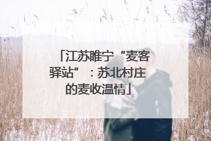 江苏睢宁“麦客驿站”：苏北村庄的麦收温情