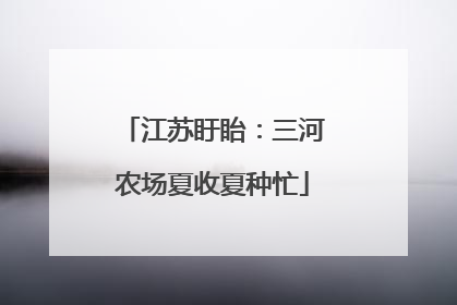 江苏盱眙：三河农场夏收夏种忙