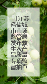 江苏省盐城市市场监管局发布救生衣产品质量专项监督抽查分析报告