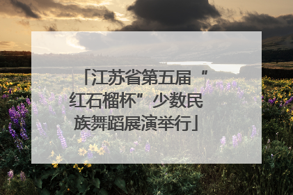 江苏省第五届“红石榴杯”少数民族舞蹈展演举行