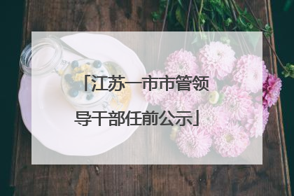 江苏一市市管领导干部任前公示