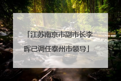 江苏南京市副市长李晖已调任泰州市领导