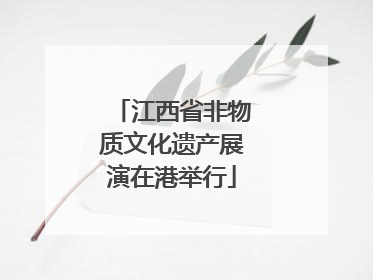 江西省非物质文化遗产展演在港举行