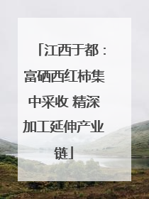 江西于都：富硒西红柿集中采收 精深加工延伸产业链