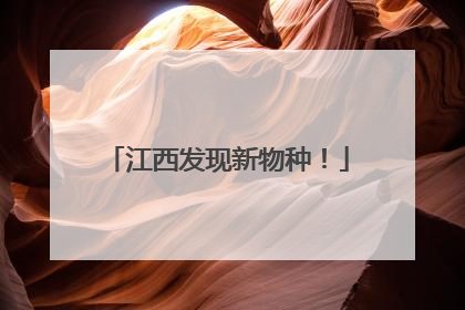 江西发现新物种！