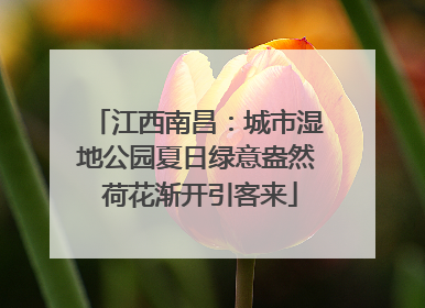 江西南昌：城市湿地公园夏日绿意盎然 荷花渐开引客来