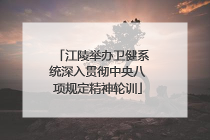 江陵举办卫健系统深入贯彻中央八项规定精神轮训