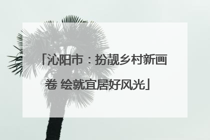 沁阳市：扮靓乡村新画卷 绘就宜居好风光