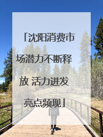 沈阳消费市场潜力不断释放 活力迸发亮点频现