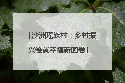 沙洲瑶族村：乡村振兴绘就幸福新画卷