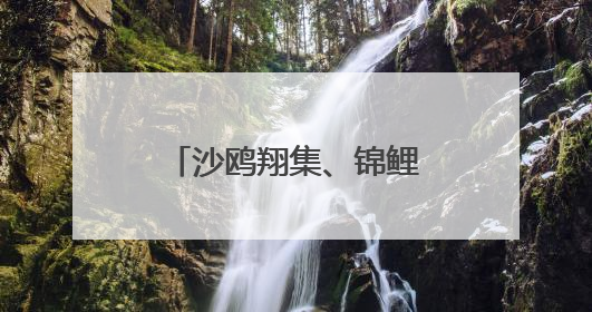 沙鸥翔集、锦鲤漫游：这处工业岸线变身生态长廊