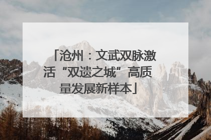 沧州：文武双脉激活“双遗之城”高质量发展新样本
