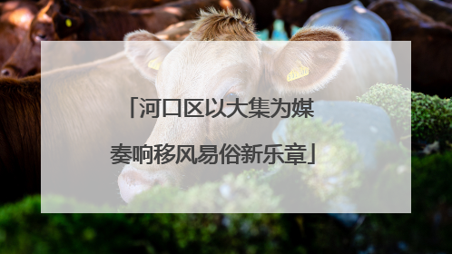 河口区以大集为媒 奏响移风易俗新乐章