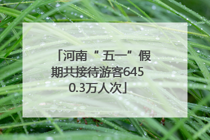 河南“ 五一”假期共接待游客6450.3万人次