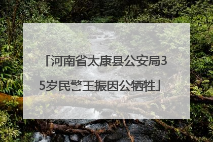 河南省太康县公安局35岁民警王振因公牺牲