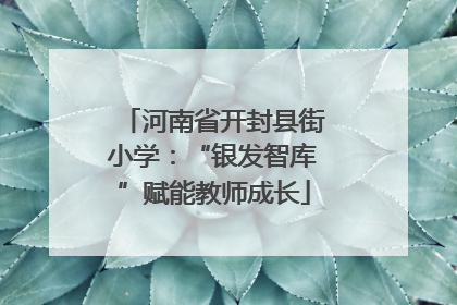 河南省开封县街小学：“银发智库”赋能教师成长