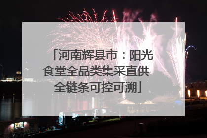 河南辉县市：阳光食堂全品类集采直供 全链条可控可溯