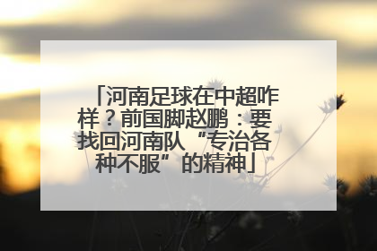 河南足球在中超咋样？前国脚赵鹏：要找回河南队“专治各种不服”的精神