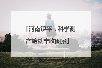河南镇平：科学测产绘就丰收图景