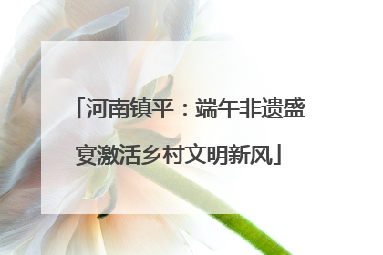 河南镇平：端午非遗盛宴激活乡村文明新风