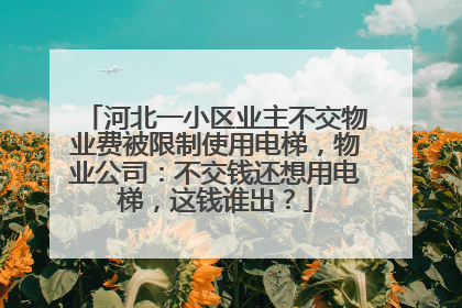 河北一小区业主不交物业费被限制使用电梯，物业公司：不交钱还想用电梯，这钱谁出？