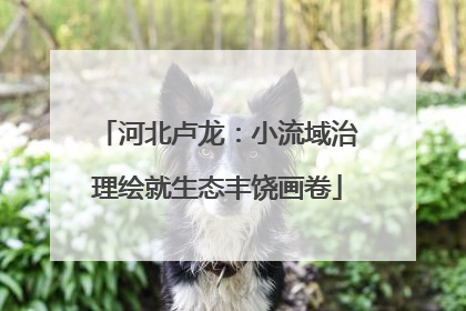 河北卢龙：小流域治理绘就生态丰饶画卷