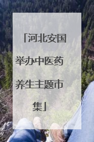 河北安国举办中医药养生主题市集