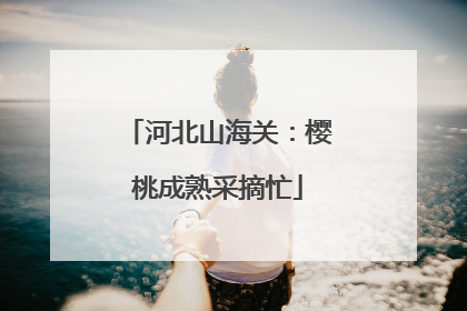 河北山海关：樱桃成熟采摘忙