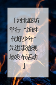 河北廊坊举行“新时代好少年”先进事迹现场发布活动