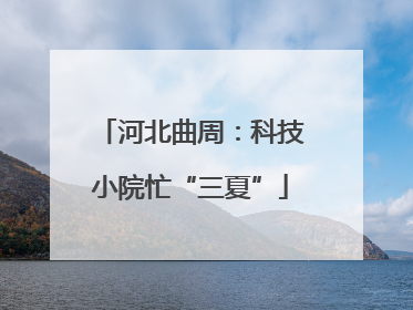 河北曲周：科技小院忙“三夏”