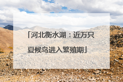 河北衡水湖：近万只夏候鸟进入繁殖期
