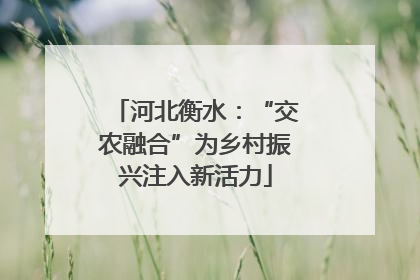 河北衡水：“交农融合”为乡村振兴注入新活力