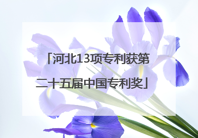 河北13项专利获第二十五届中国专利奖