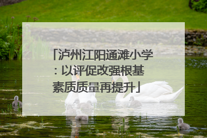 泸州江阳通滩小学：以评促改强根基 素质质量再提升