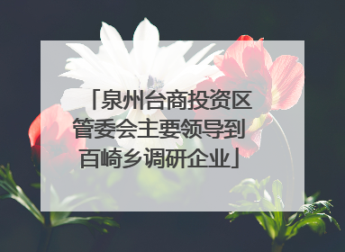 泉州台商投资区管委会主要领导到百崎乡调研企业