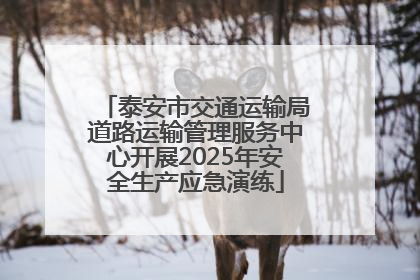 泰安市交通运输局道路运输管理服务中心开展2025年安全生产应急演练
