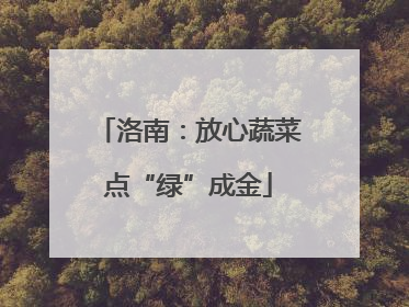洛南：放心蔬菜点“绿”成金