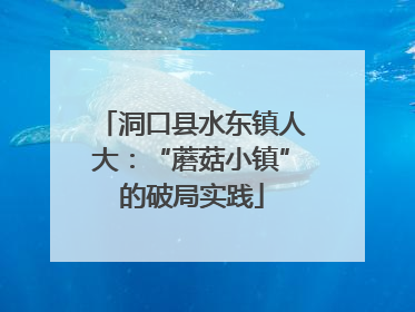 洞口县水东镇人大：“蘑菇小镇”的破局实践