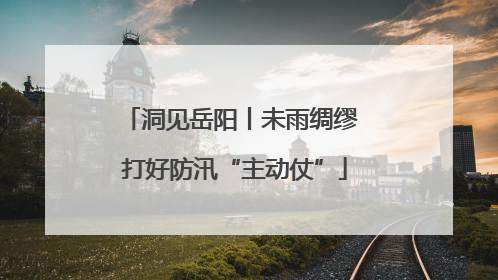 洞见岳阳丨未雨绸缪 打好防汛“主动仗”
