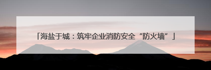 海盐于城：筑牢企业消防安全“防火墙”