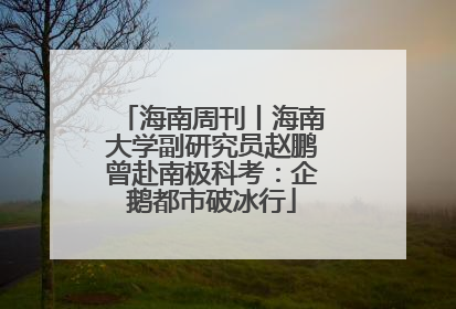 海南周刊丨海南大学副研究员赵鹏曾赴南极科考：企鹅都市破冰行