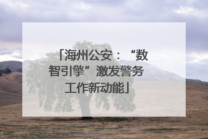 海州公安：“数智引擎”激发警务工作新动能