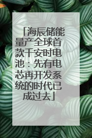 海辰储能量产全球首款千安时电池：先有电芯再开发系统的时代已成过去