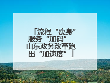 流程“瘦身”服务“加码” 山东政务改革跑出“加速度”