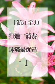 浙江全力打造“消费环境最优省”
