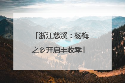 浙江慈溪：杨梅之乡开启丰收季