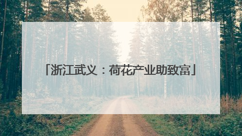 浙江武义：荷花产业助致富