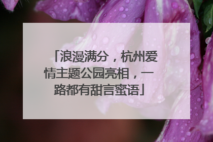 浪漫满分，杭州爱情主题公园亮相，一路都有甜言蜜语