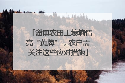 淄博农田土壤墒情亮“黄牌”，农户需关注这些应对措施