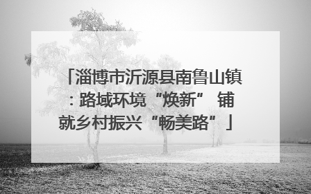 淄博市沂源县南鲁山镇：路域环境“焕新” 铺就乡村振兴“畅美路”